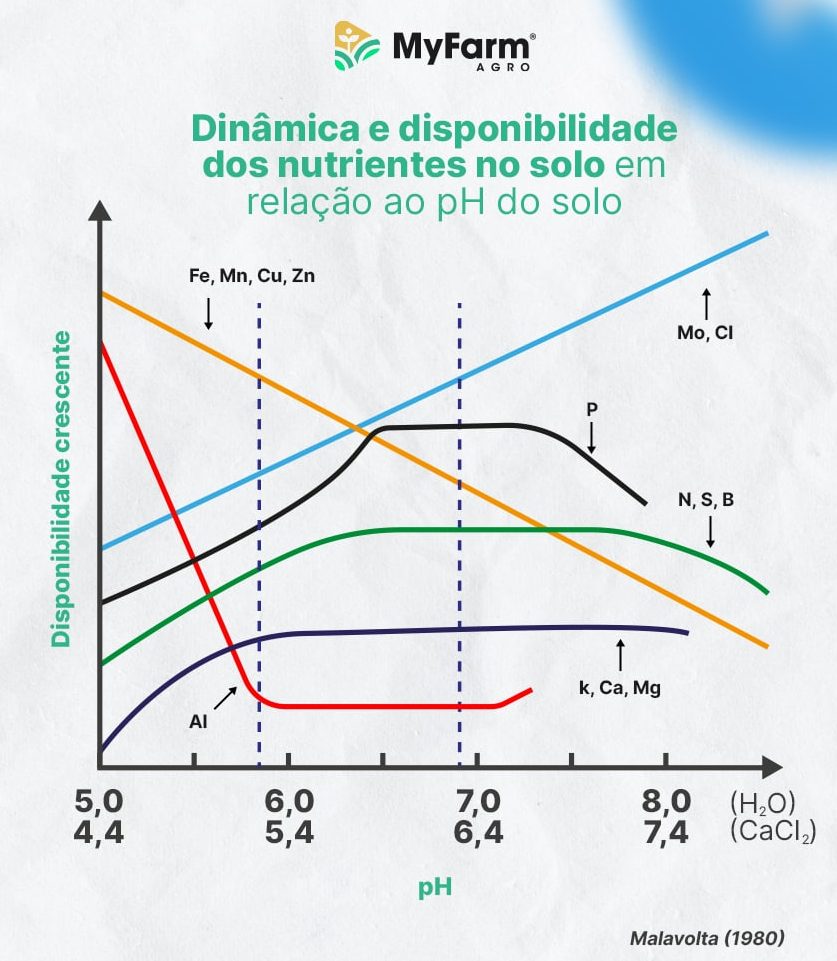 Gráfico da disponibilidade dos nutrientes no solo em relação ao pH, elaborado por Malavolta