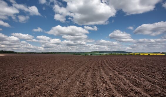 Propriedades físicas do solo e seu impacto do desenvolvimento vegetal