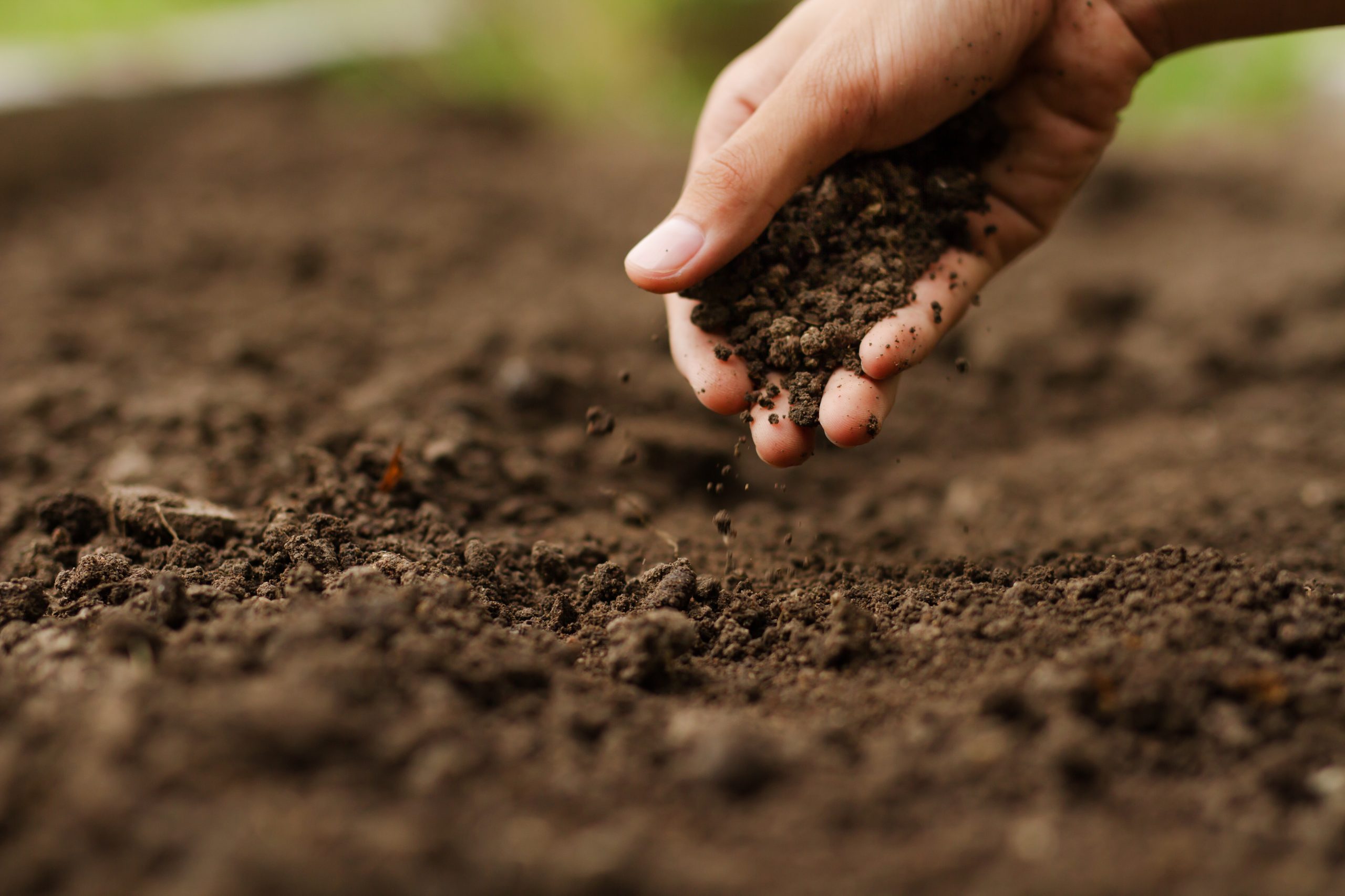 Curso de fertilidade do solo