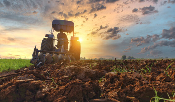Plantio da safra 2024/25 no Brasil: Avanço em meio a desafios climáticos