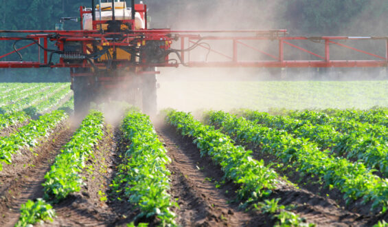 Uso de biológicos no controle de doenças agrícolas e a importância de compreender os mecanismos de ação